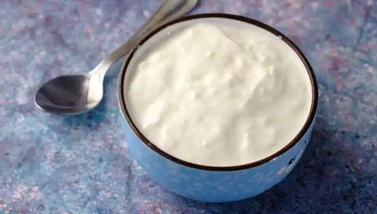 Greek Yogurt