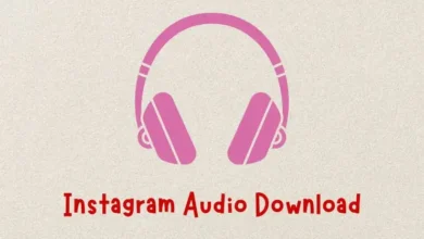 instagram audio download